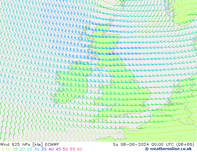 Wind 925 hPa ECMWF Sa 08.06.2024 00 UTC