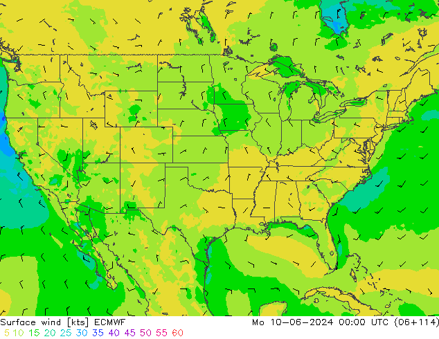 ветер 10 m ECMWF пн 10.06.2024 00 UTC