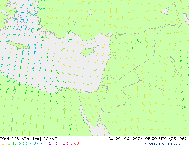 Viento 925 hPa ECMWF dom 09.06.2024 06 UTC