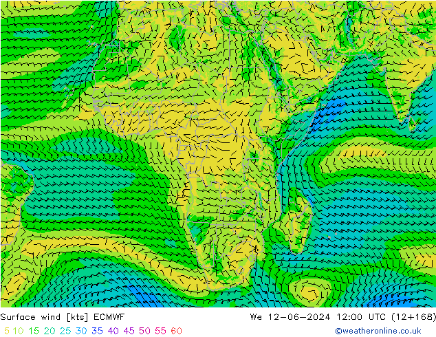 Wind 10 m ECMWF wo 12.06.2024 12 UTC