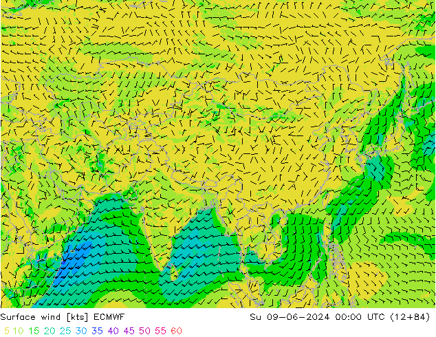 Bodenwind ECMWF So 09.06.2024 00 UTC