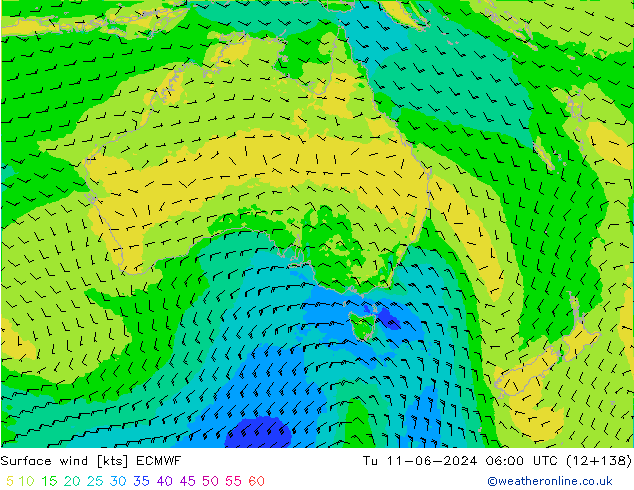 Surface wind ECMWF Tu 11.06.2024 06 UTC