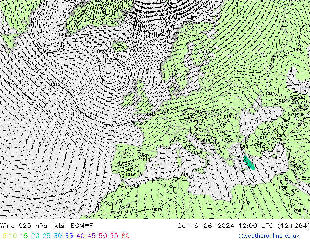 Wind 925 hPa ECMWF zo 16.06.2024 12 UTC