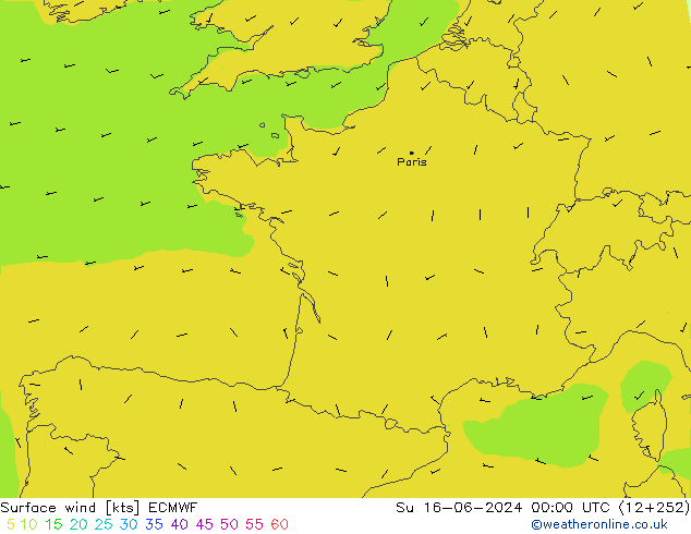 Vent 10 m ECMWF dim 16.06.2024 00 UTC