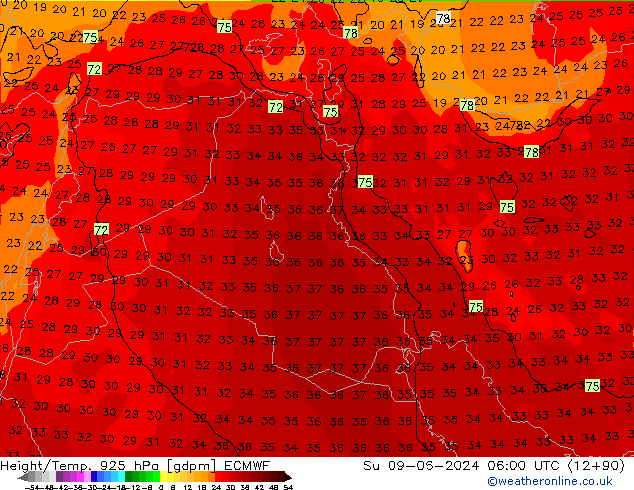 Height/Temp. 925 hPa ECMWF Su 09.06.2024 06 UTC