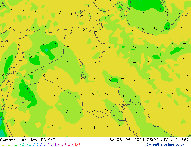 Vent 10 m ECMWF sam 08.06.2024 06 UTC