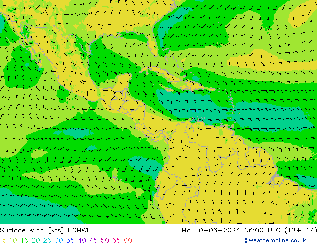 Vento 10 m ECMWF Seg 10.06.2024 06 UTC