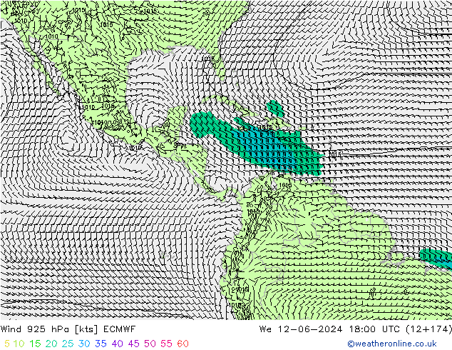 Wind 925 hPa ECMWF wo 12.06.2024 18 UTC