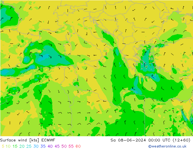 Viento 10 m ECMWF sáb 08.06.2024 00 UTC