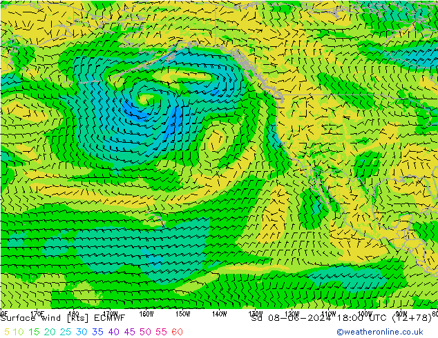 Surface wind ECMWF Sa 08.06.2024 18 UTC