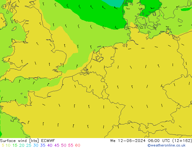 ветер 10 m ECMWF ср 12.06.2024 06 UTC