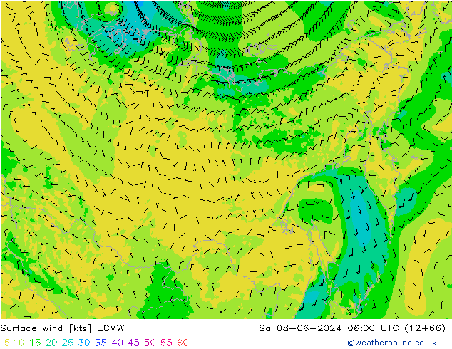 ветер 10 m ECMWF сб 08.06.2024 06 UTC