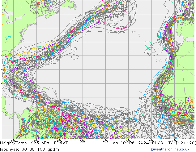 Height/Temp. 925 hPa ECMWF Mo 10.06.2024 12 UTC