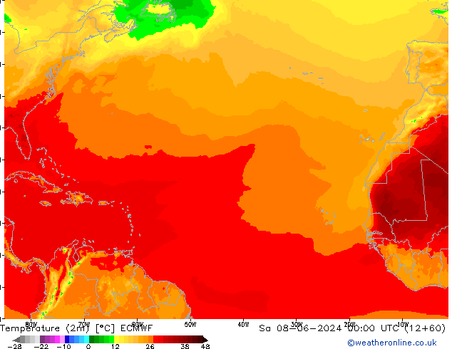 température (2m) ECMWF sam 08.06.2024 00 UTC