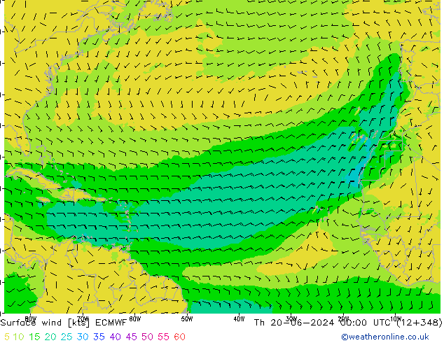 Surface wind ECMWF Th 20.06.2024 00 UTC