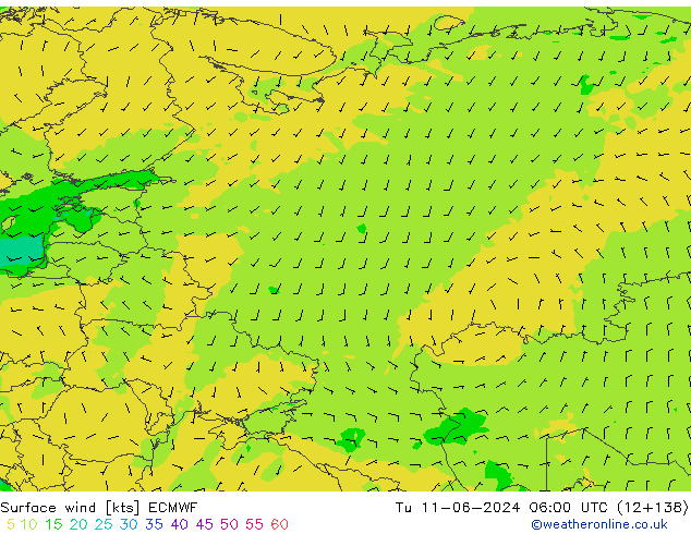  10 m ECMWF  11.06.2024 06 UTC