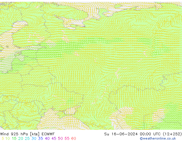 Viento 925 hPa ECMWF dom 16.06.2024 00 UTC