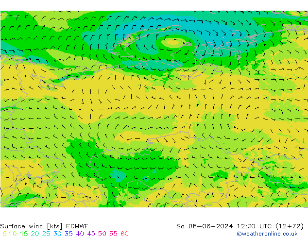 Surface wind ECMWF Sa 08.06.2024 12 UTC