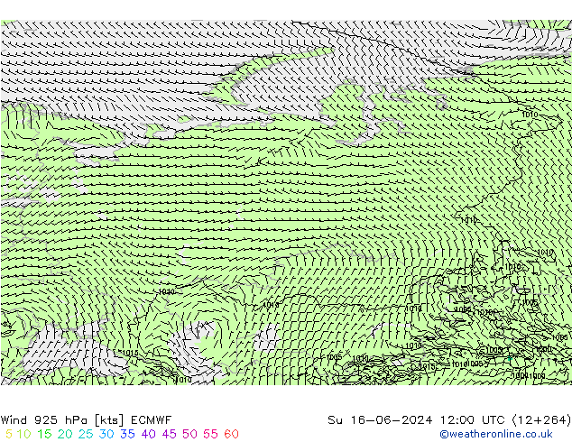 wiatr 925 hPa ECMWF nie. 16.06.2024 12 UTC