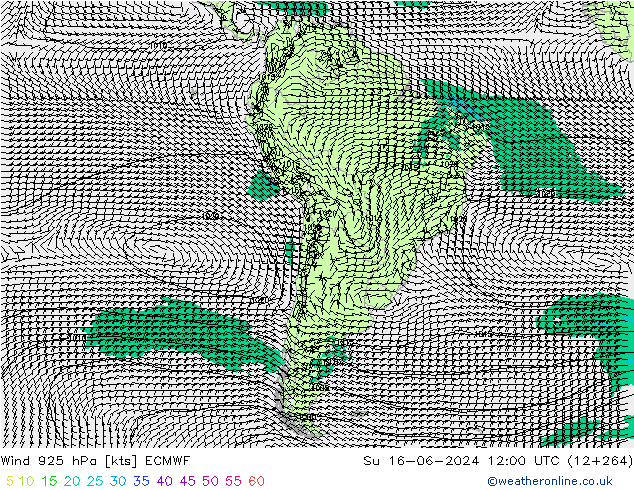 Vento 925 hPa ECMWF Dom 16.06.2024 12 UTC