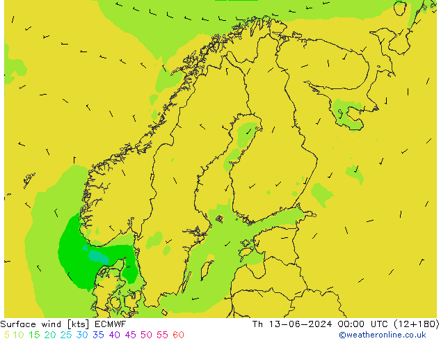 Bodenwind ECMWF Do 13.06.2024 00 UTC