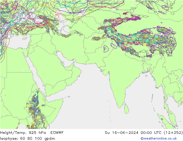 Geop./Temp. 925 hPa ECMWF dom 16.06.2024 00 UTC