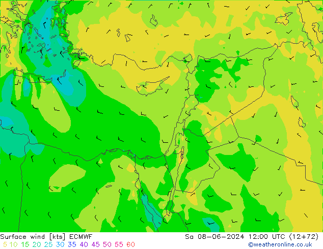 Viento 10 m ECMWF sáb 08.06.2024 12 UTC