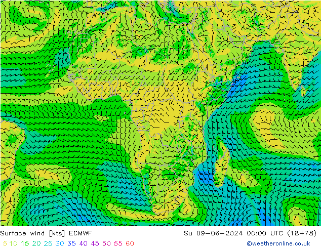 Bodenwind ECMWF So 09.06.2024 00 UTC