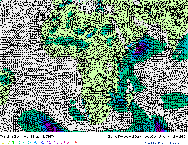 Rüzgar 925 hPa ECMWF Paz 09.06.2024 06 UTC