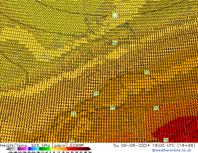 Géop./Temp. 925 hPa ECMWF dim 09.06.2024 18 UTC