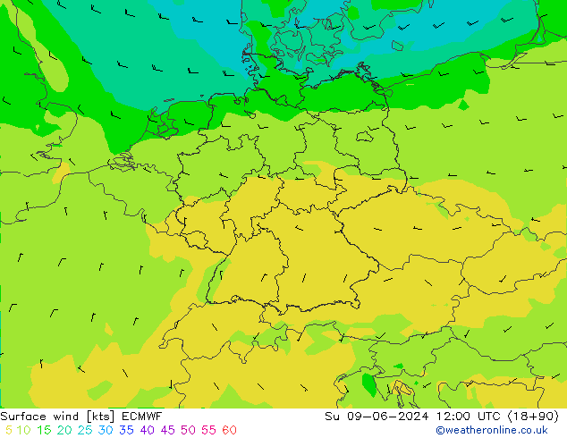 Rüzgar 10 m ECMWF Paz 09.06.2024 12 UTC