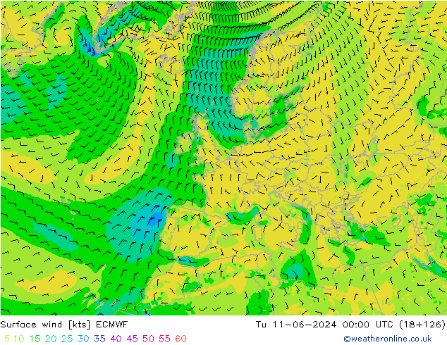 Bodenwind ECMWF Di 11.06.2024 00 UTC