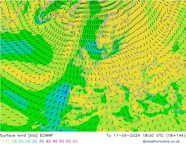 Bodenwind ECMWF Di 11.06.2024 18 UTC