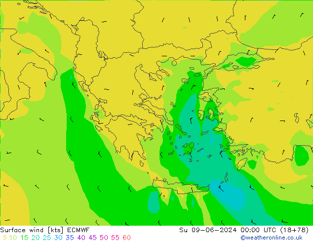 Bodenwind ECMWF So 09.06.2024 00 UTC