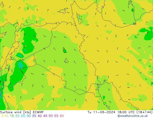 ветер 10 m ECMWF вт 11.06.2024 18 UTC