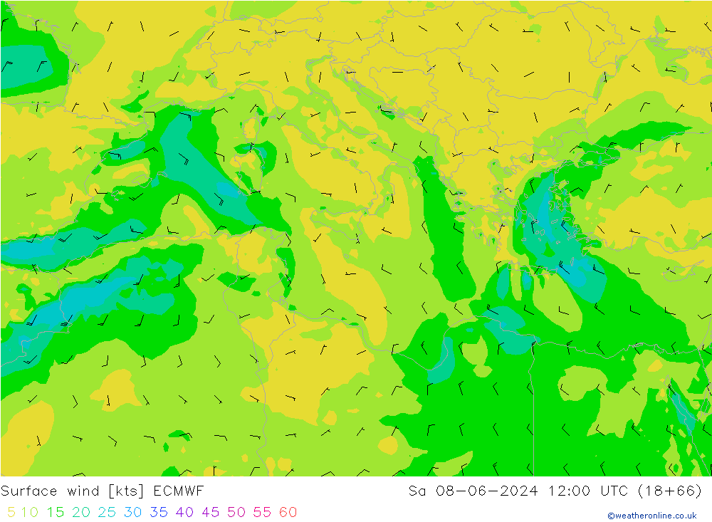 Rüzgar 10 m ECMWF Cts 08.06.2024 12 UTC