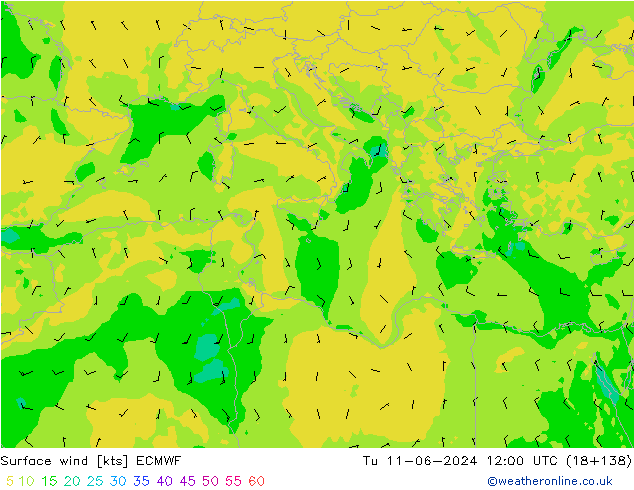 Vent 10 m ECMWF mar 11.06.2024 12 UTC