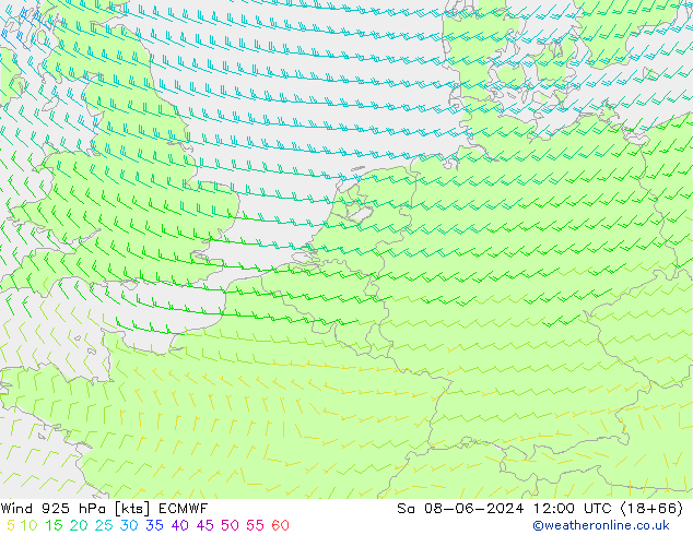 Wind 925 hPa ECMWF So 08.06.2024 12 UTC