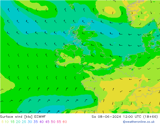 Wind 10 m ECMWF za 08.06.2024 12 UTC