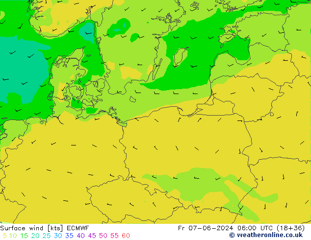 Surface wind ECMWF Pá 07.06.2024 06 UTC