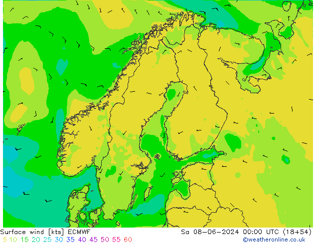 Surface wind ECMWF Sa 08.06.2024 00 UTC