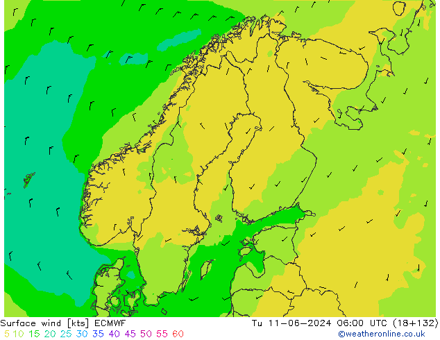  10 m ECMWF  11.06.2024 06 UTC