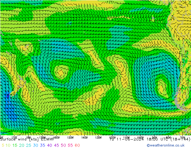 Surface wind ECMWF Tu 11.06.2024 18 UTC