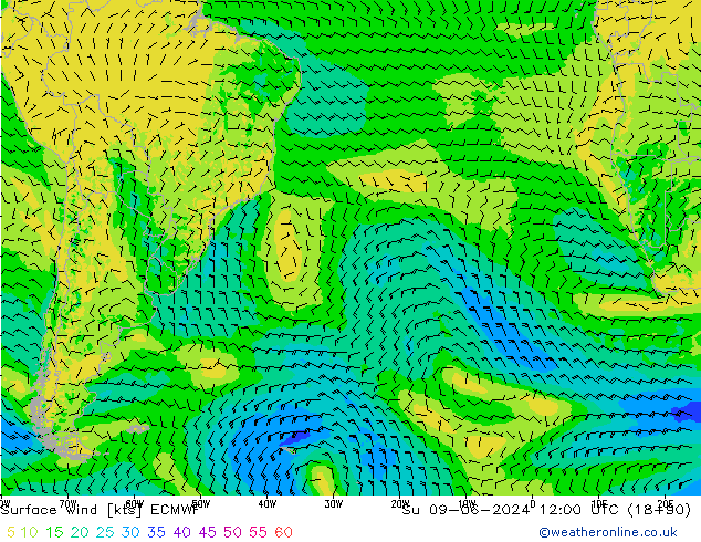 Surface wind ECMWF Ne 09.06.2024 12 UTC