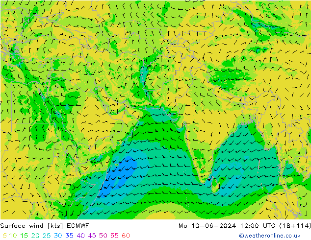 Surface wind ECMWF Mo 10.06.2024 12 UTC