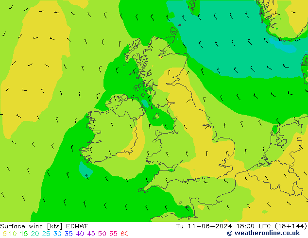 Surface wind ECMWF Tu 11.06.2024 18 UTC