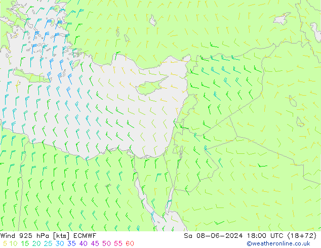 Vent 925 hPa ECMWF sam 08.06.2024 18 UTC