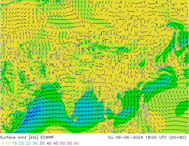 Vento 10 m ECMWF dom 09.06.2024 18 UTC