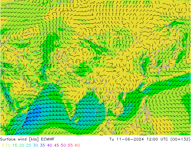 Surface wind ECMWF Út 11.06.2024 12 UTC