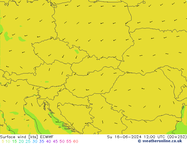 Surface wind ECMWF Su 16.06.2024 12 UTC